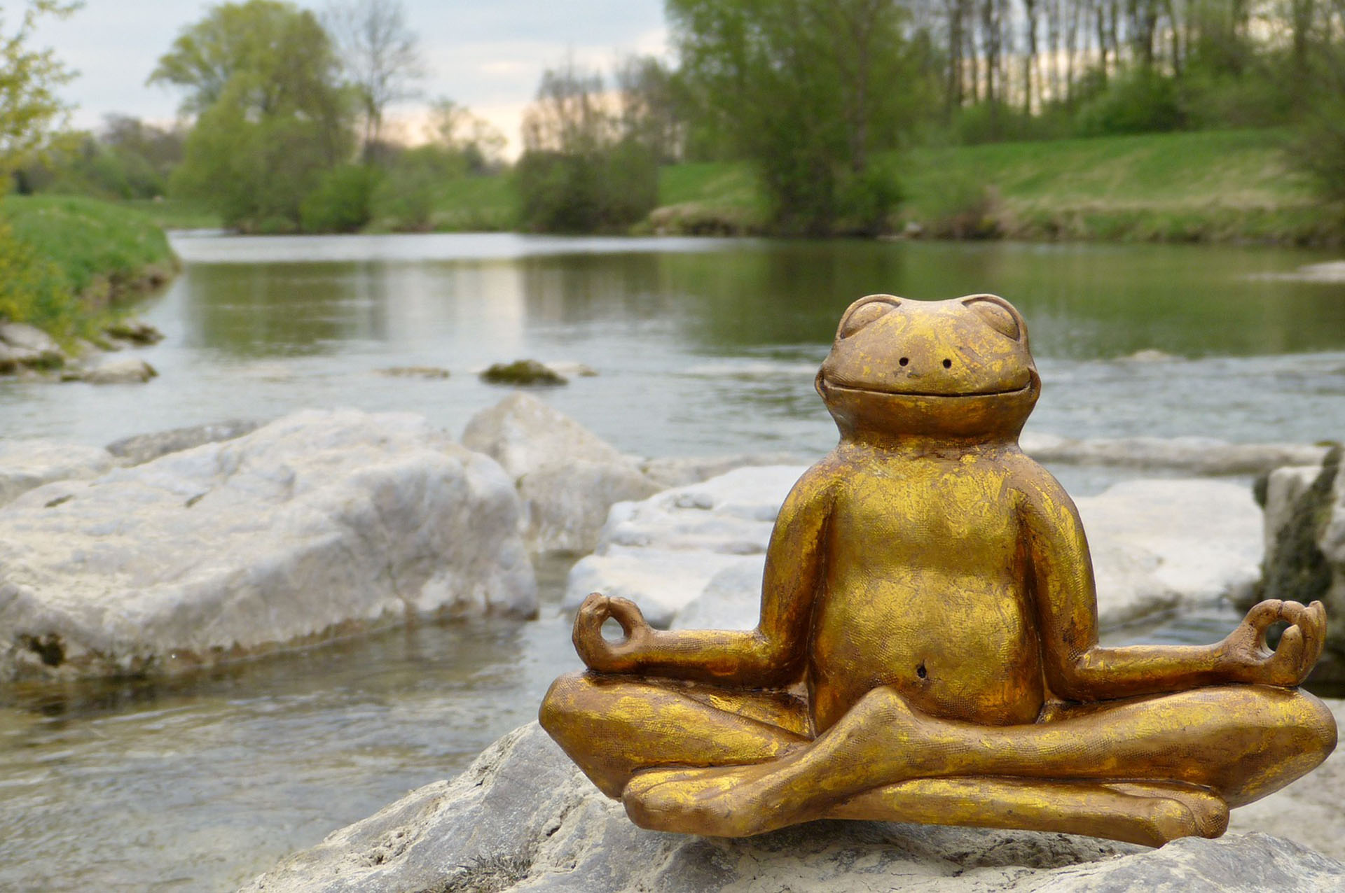 Frosch in Meditation Foto Supervison Happy Vision Göttingen, Kassel, Werra-Meißner-Kreis