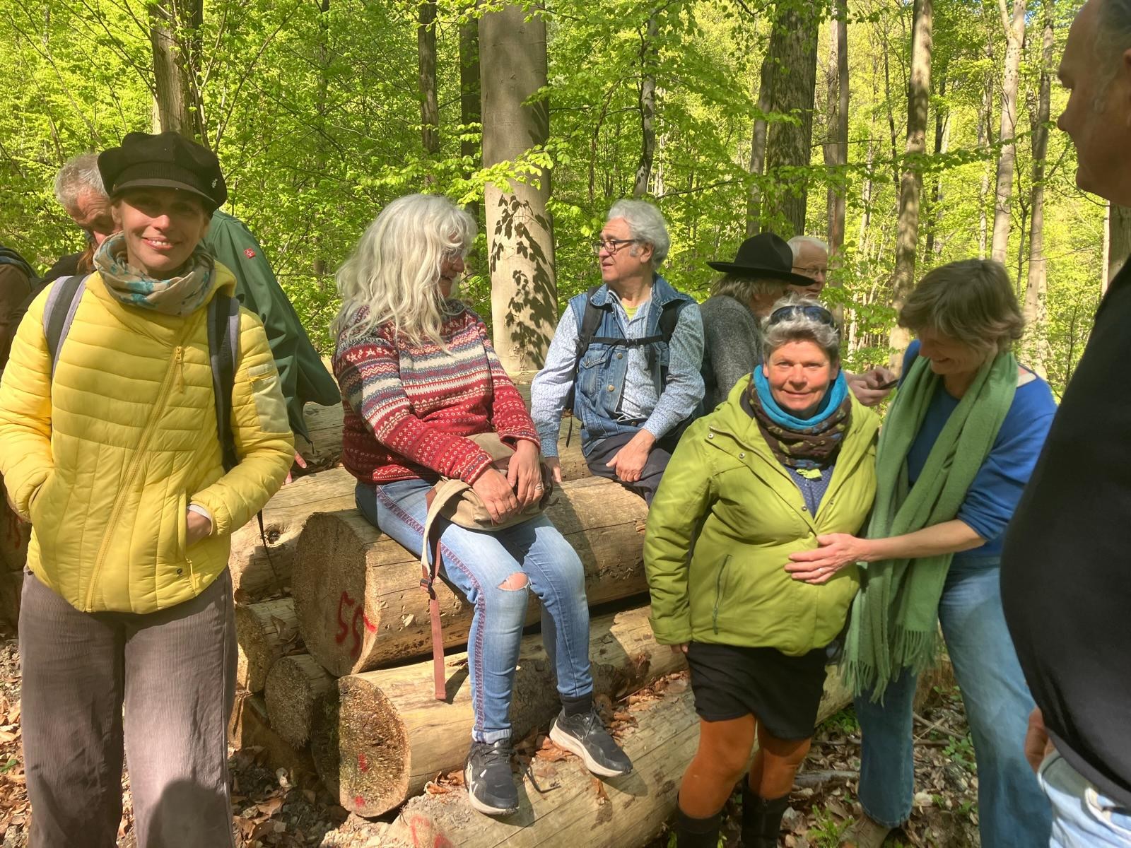 wanderung im wald